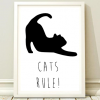 Cats rule poster